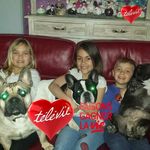 Angelina Campitelli - @campitelliangelina - Instagram