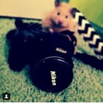 Angelina Catron - @angel.catron - Instagram