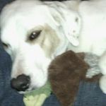 Angel Eric Chenoweth - @angelericchenoweth - Instagram