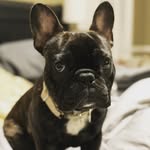 Angela Chopp - @amchopp - Instagram