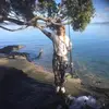 angelaclifton489 - @angelaclifton489 - TikTok