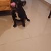 angelacollado8318 - @angelacollado8318 - TikTok