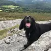 Angela Cornwell - @angela.cornwell1 - TikTok