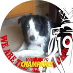 Angela Cornwell - @angela.cornwell.144 - Instagram