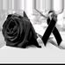 Angela Corpus - Facebook