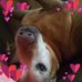 Angie Correll - Facebook