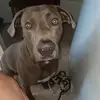 Angela Crews - @angela.crews27 - TikTok