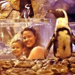 Angela Crews - @crews.angela - Instagram