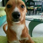 Angela Denk Cabras - @angelacabras9 - Instagram