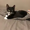 angeladenk879 - @angeladenk879 - TikTok