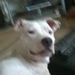 Angela Digby - @anged1974 - Instagram