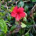 Angela Doering - Facebook