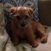 Angela Eckard - Facebook