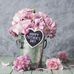 Angela Enos - Facebook