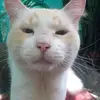 Angel Errante - @angel.errante2 - TikTok