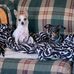 Angela Erwin Yates - Facebook