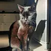 angela_estepa013 - @angela_estepa013 - TikTok