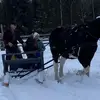 Angela Ettinger - @angela.ettinger0 - TikTok