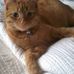 Angela Everitt - Facebook
