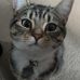 Angela Everitt - Facebook