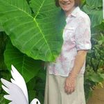 Angela Everitt - @angela.everitt.547 - Instagram