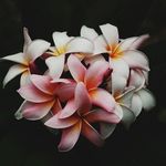 Angela Eves - @angela.eves.7503 - Instagram