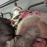 Angela Eves - @eves.angela - Instagram