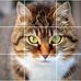 Angela Edgington - Facebook