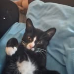 Angela Farman - @farmanangela - Instagram