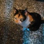 Angela Fedele - @angelafedele61 - Instagram