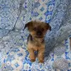 Angela Fedele - @angela.fedele62 - TikTok