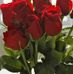 Angela Fedele - Facebook