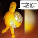 Angela Fedele - @fedele3157 - Instagram
