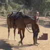 Angela Fogleman - @legazranch - TikTok