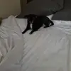 Angela Gale47 - @angelagale00 - TikTok