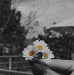 Gale Angela - Facebook
