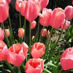 Angela Gentry - @angela.gentry.77 - Instagram
