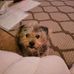 Angela Gerber Henne - Facebook