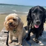 Angela Greig Pearse - @angelagreigpearse - Instagram