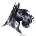 Анжела - @ange_lagroom - Instagram