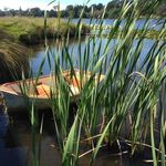 Angela Groom - @lakehousewriter - Instagram