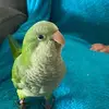 angelagroom - @angelagroom - TikTok