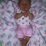 Angela Williams Grose - @williamsgrose - Instagram