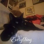 Angela Guzzo - @angela.guzzo.583 - Instagram