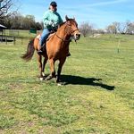 Angela Hager - @anglanj1965 - Instagram