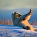 Angela Hager - Facebook