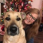 Angela Hamill - @angelahamill5 - Instagram