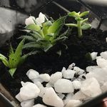 Angela Harding - @angela.harding.501 - Instagram