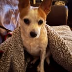 Angela Harding - Facebook
