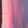 𝐆𝐑𝐀𝐂𝐈𝐄-𝐌𝐀𝐘 ఌ - @angelaharrowing - TikTok